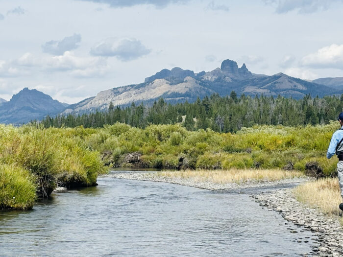 Moose Willow Ranch