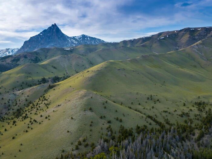 Owl Creek Ranch