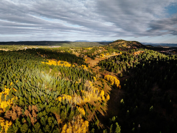 Pinestone Ranch