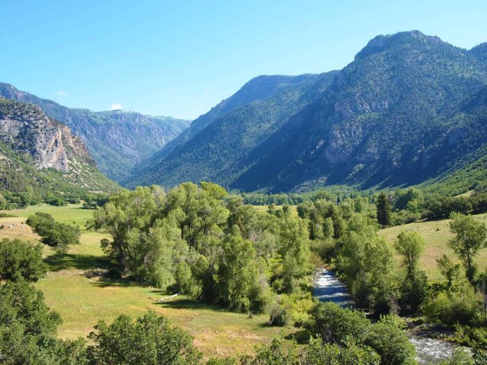 RocknPines Ranch