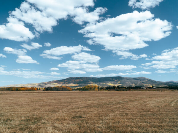Ranch Life and Recreation in North Park, Colorado: A Hidden Gem in the Rockies