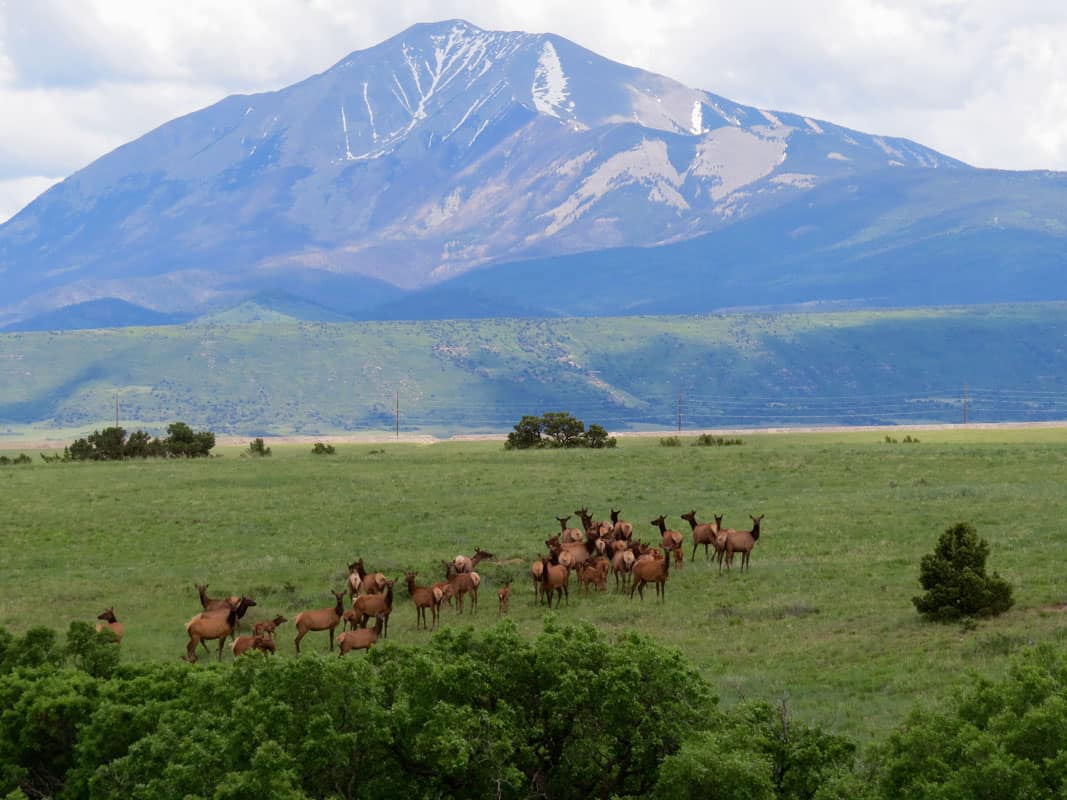 Silver Mountain Ranch