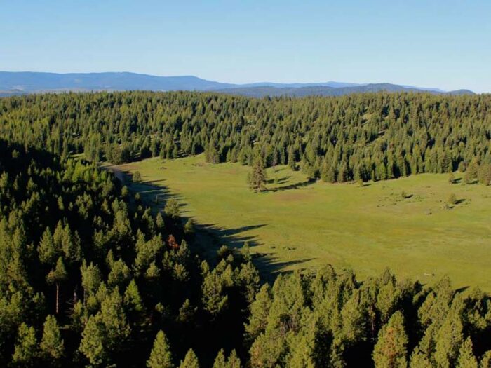 Six Shooter Ranch