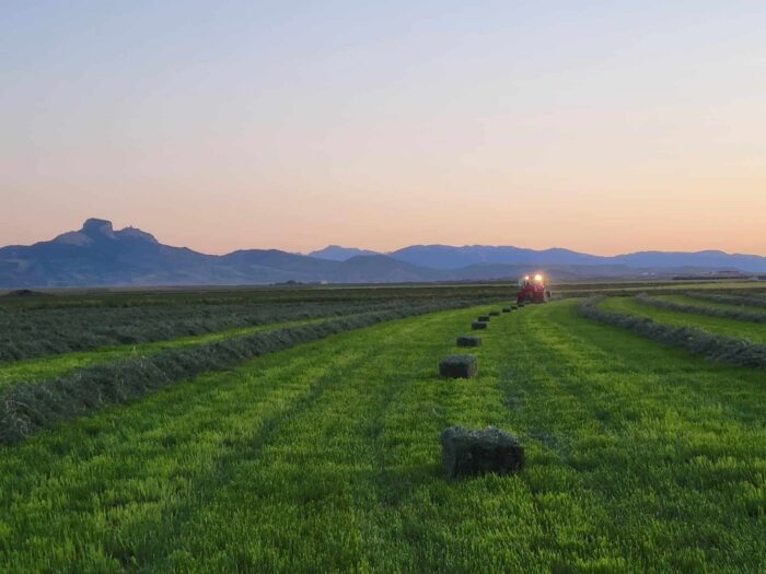 Slash WY Farm