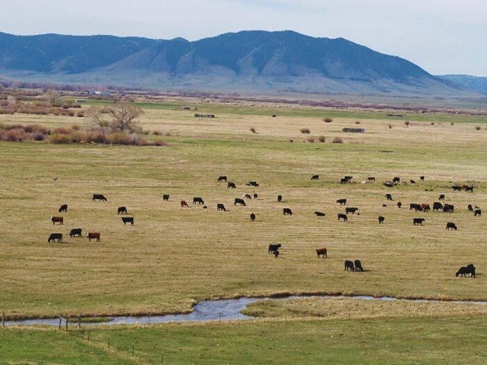 Mill Creek Ranch