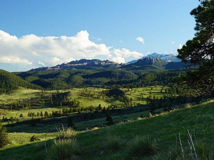Sunrise Ridge Ranch