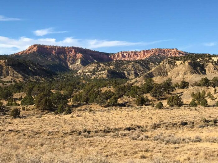 Twisted Gulch Ranch
