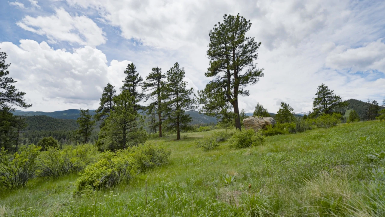 5 Valuable Features of Ranches & Sporting Properties