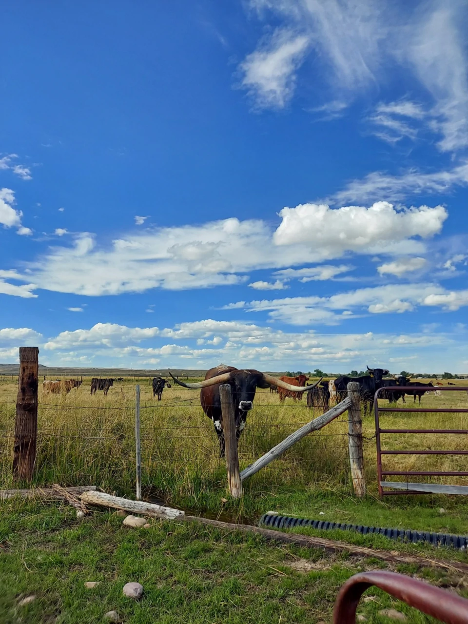 J. Vercimak Ranch