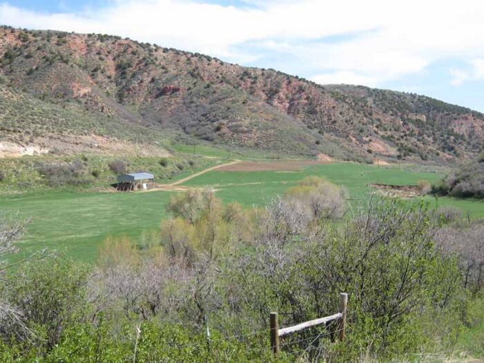 Wilson Creek – Moffat County