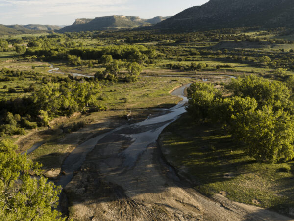 The Historic Sale of Dawson Elk Valley Ranch
