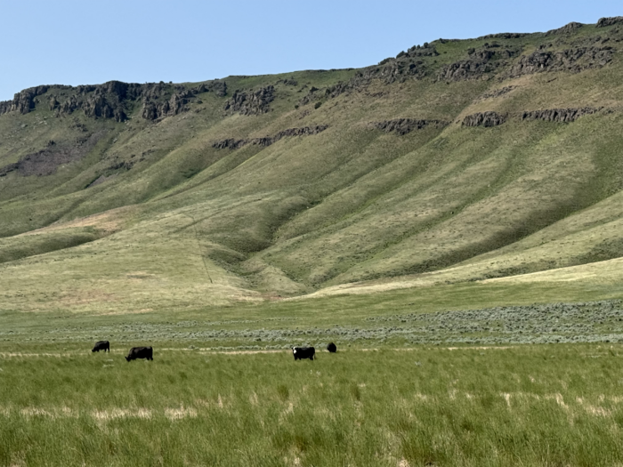 East Cotterel Ranch