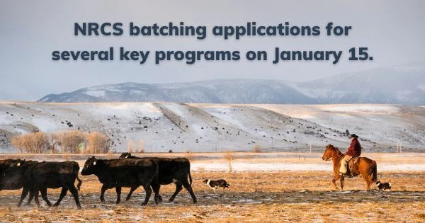 January 2026 | Resources from Western Landowners Alliance