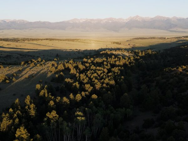 Discover Westcliffe, Colorado: Outdoor Recreation, Small-Town Charm, and Ranch Living