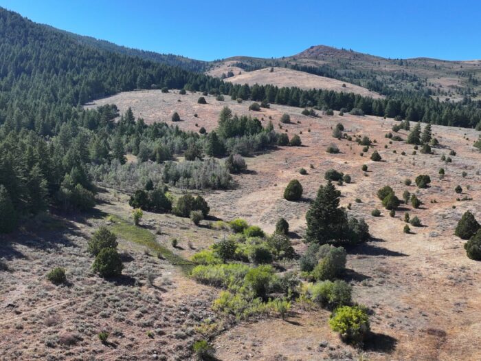 Six-S Ranch